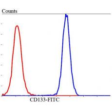 Anti-CD133 antibody