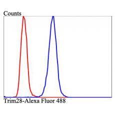 Anti-TRIM28 antibody