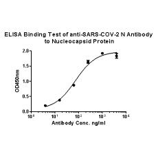 Anti-SARS-CoV-2 Nucleocapsid Protein antibody