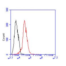 Anti-Perilipin-5 antibody