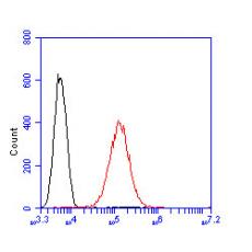 Anti-Meckelin antibody