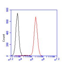 Anti-CD8 alpha antibody