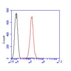 Anti-GRIK4 antibody