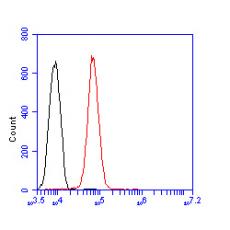 Anti-Transferrin antibody