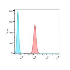 Anti-IL17A antibody