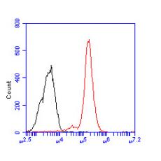 Anti-CD133 antibody