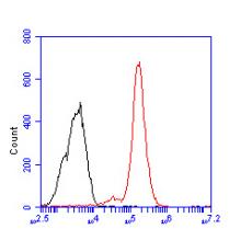 Anti-CD133 antibody