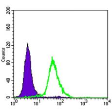 Anti-CRTC2 antibody [D2-B10]
