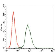 Anti-CSNK2A2 antibody [A10-E1]