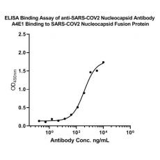 Anti-COX2 antibody [A3F7]