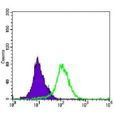 Anti-MAP2K4 antibody [B4-H6]