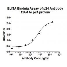 Anti-HIV1 p24 antibody [12G4]