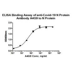 Anti-SARS-CoV-2 Nucleocapsid protein antibody [A4G9]