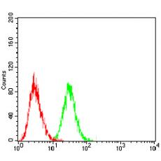 Anti-LHCGR antibody [A2-G9]