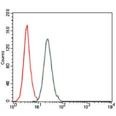 Anti-c-FOS antibody [A10-G2]