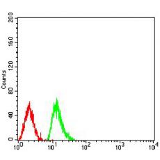 Anti-Histone H4 antibody [H2-E7]