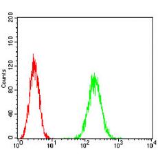 Anti-HPRT1 antibody [A7-F1]