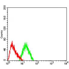 Anti-CHRNA7 antibody [G1-F10]