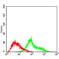Anti-TUBE1 antibody [B7-F3]