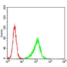 Anti-PLCG2 antibody [B6-A8]