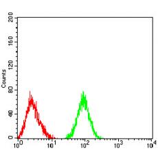 Anti-CD177 antibody [2F2C1]