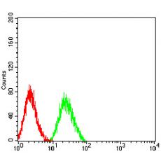 Anti-CD322 antibody [7E4C5]