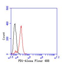 Anti-PD1 antibody [1F2]