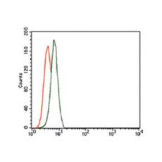 Anti-TRIP6 antibody [G1-H4]
