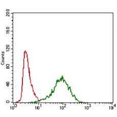 Anti-ABCC4 antibody [H3-A7]