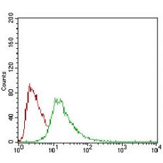 Anti-CD93 antibody [E10-A10]