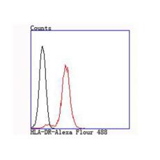 Anti-HLA-DR antibody [10-D8]