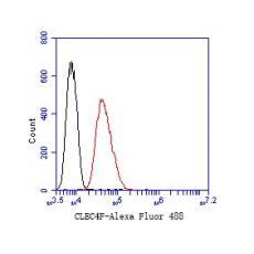 Anti-CLEC4F antibody [10-A6-1]