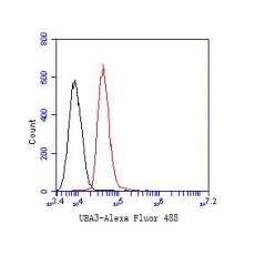 Anti-UBA3 antibody [1C10-5-5]