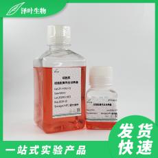 COV434细胞专用完全培养基