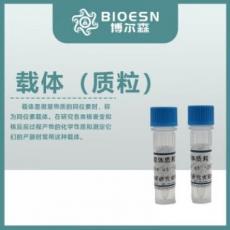 γ-氨基丁酸A受体α3(gABRa3)重组蛋白 (Human，人)
