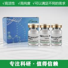 胎盘生长因子(PLGF)重组蛋白 (Mouse，小鼠) 